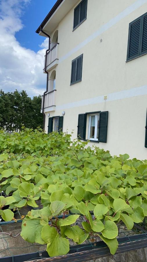 Vila Luca Island Krk / Malinska Extérieur photo